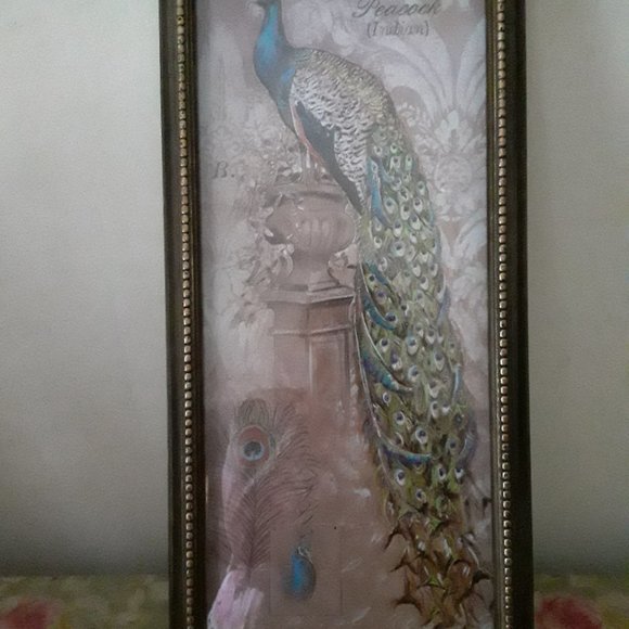 Chad Barrett Art Print of a Peacock - Picture 1 of 8